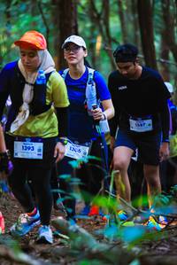 BIB: 1393, 1305, 1587
                            <button type="button" onclick="openModal(19360085)" class="btn btn-primary btn-sm float-right btn-popup" data-toggle="modal" data-target=".modal-high-quality">
                        <i class="fas fa-shopping-cart"></i> Add to Cart
                    </button>
                                            <button type="button" onclick="isThisMe(19360085, true)" class="btn btn-success btn-sm float-right btn-popup btn-isme hidden" data-toggle="tooltip" data-placement="bottom" title="นี่คือรูปของคุณใช่ไหม คลิกที่นี่เพื่อเอาเข้าอัลบั้ม">
                        <i class="fas fa-plus"></i> Add to album
                    </button>
                    <button type="button" onclick="isThisMe(19360085, false)" class="btn btn-warning btn-sm float-right btn-popup btn-isnotme hidden">
                        <i class="fas fa-ban"></i> Remove from album
                    </button>